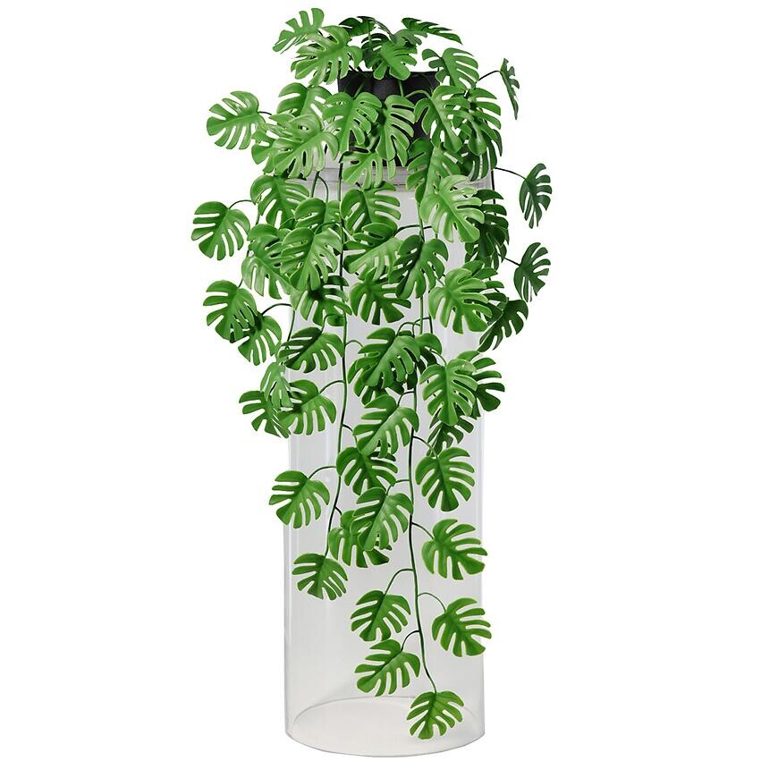 Závesná rastlina 91093