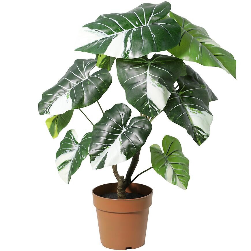 Umelý kvet v kvetináči – Alocazia 91255