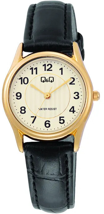 Q&Q Analogové hodinky C49A-002PY