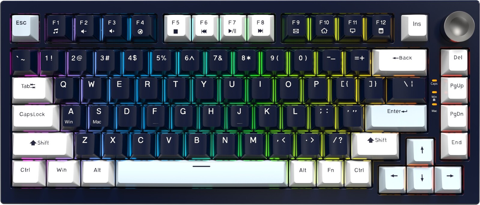 JEDEL KL81 black/white/blue mix