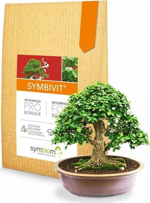 SYMBIOM Prípravok Symbivit Bonsai 150 g