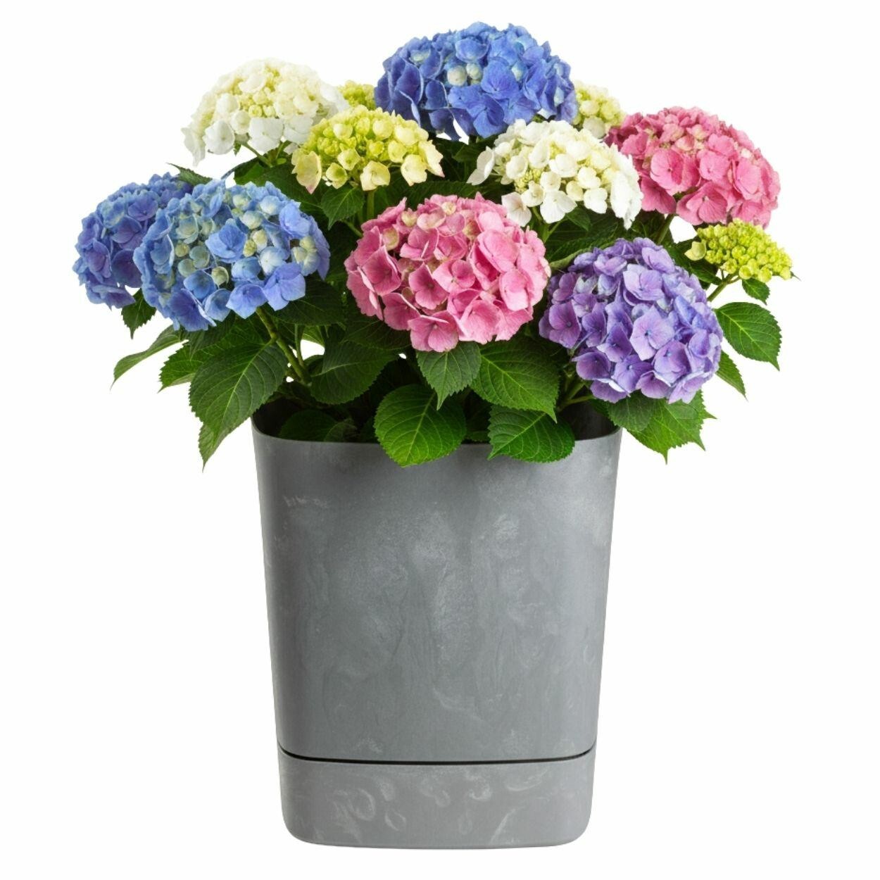 Květináč CUBI 34x36,4 cm šedý beton