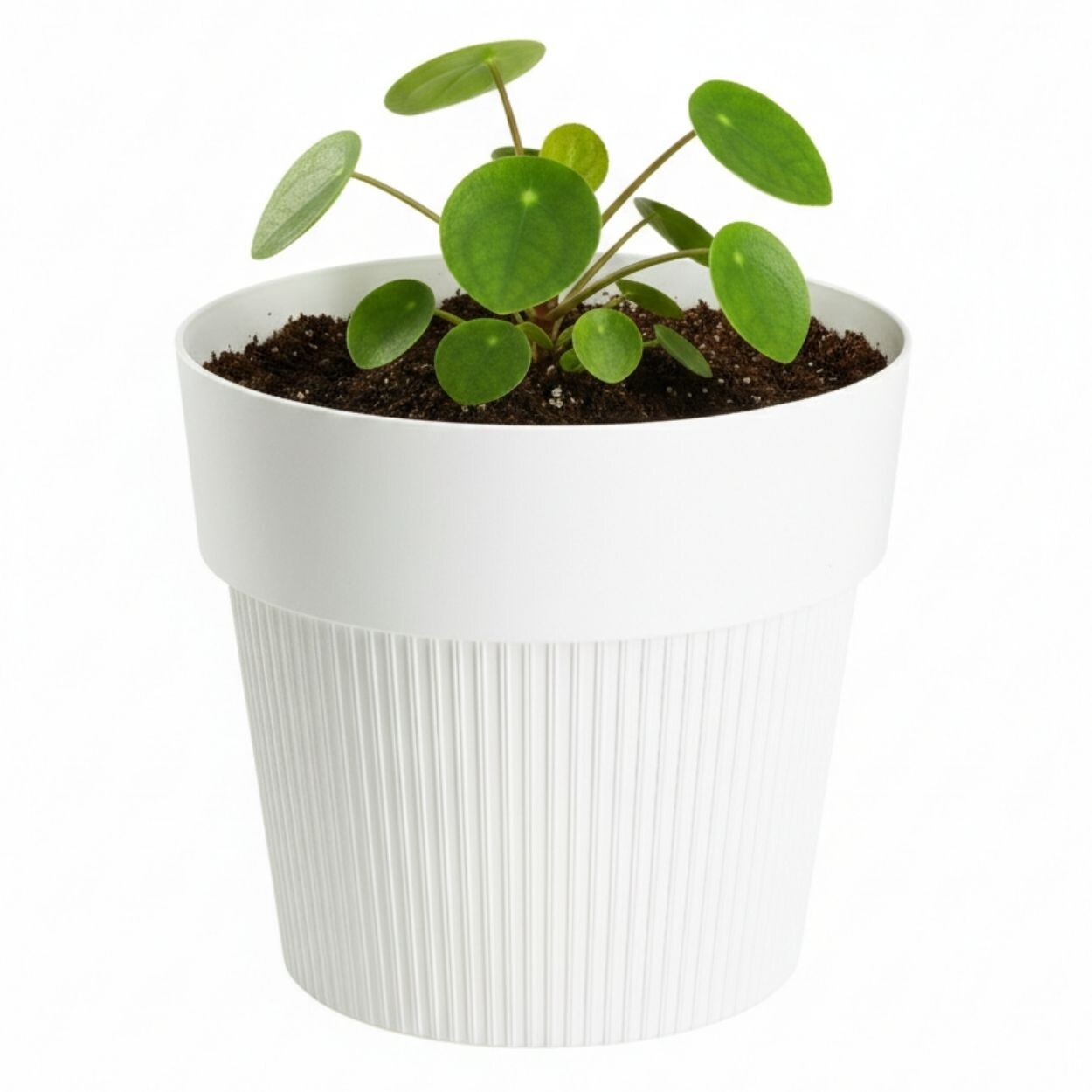 Květináč Silva Line 11,5x13,2 cm krémový