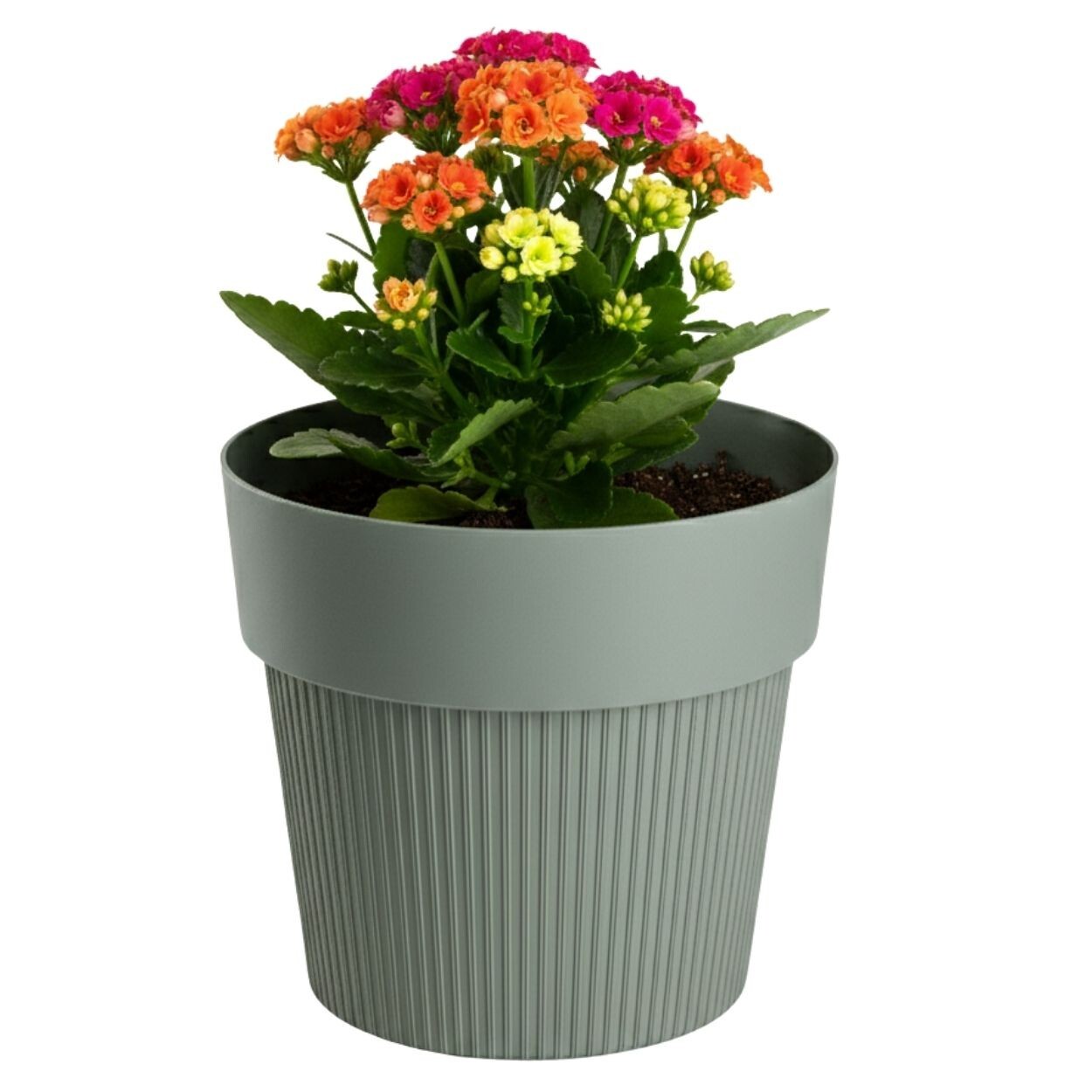 Květináč Silva Line 11,5x13,2 cm šedo-zelený