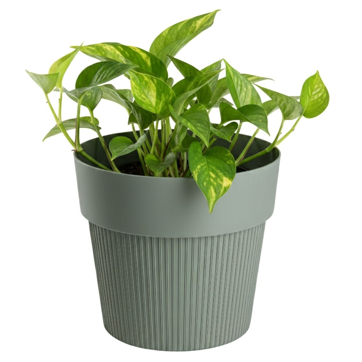 Květináč Silva Line 12,7x14,5 cm šedo-zelený