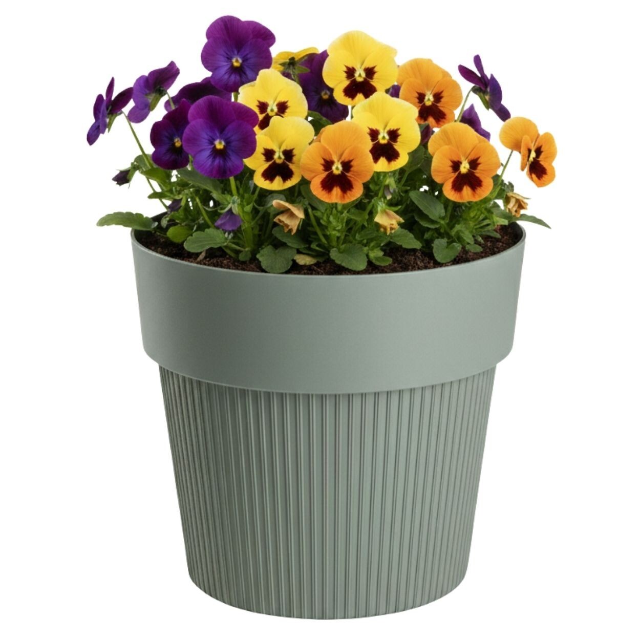 Květináč Silva Line 13,8x16 cm šedo-zelený