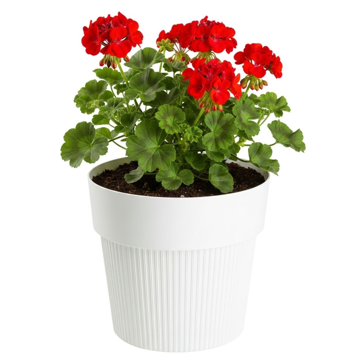 Květináč Silva Line 17,4x20 cm krémový