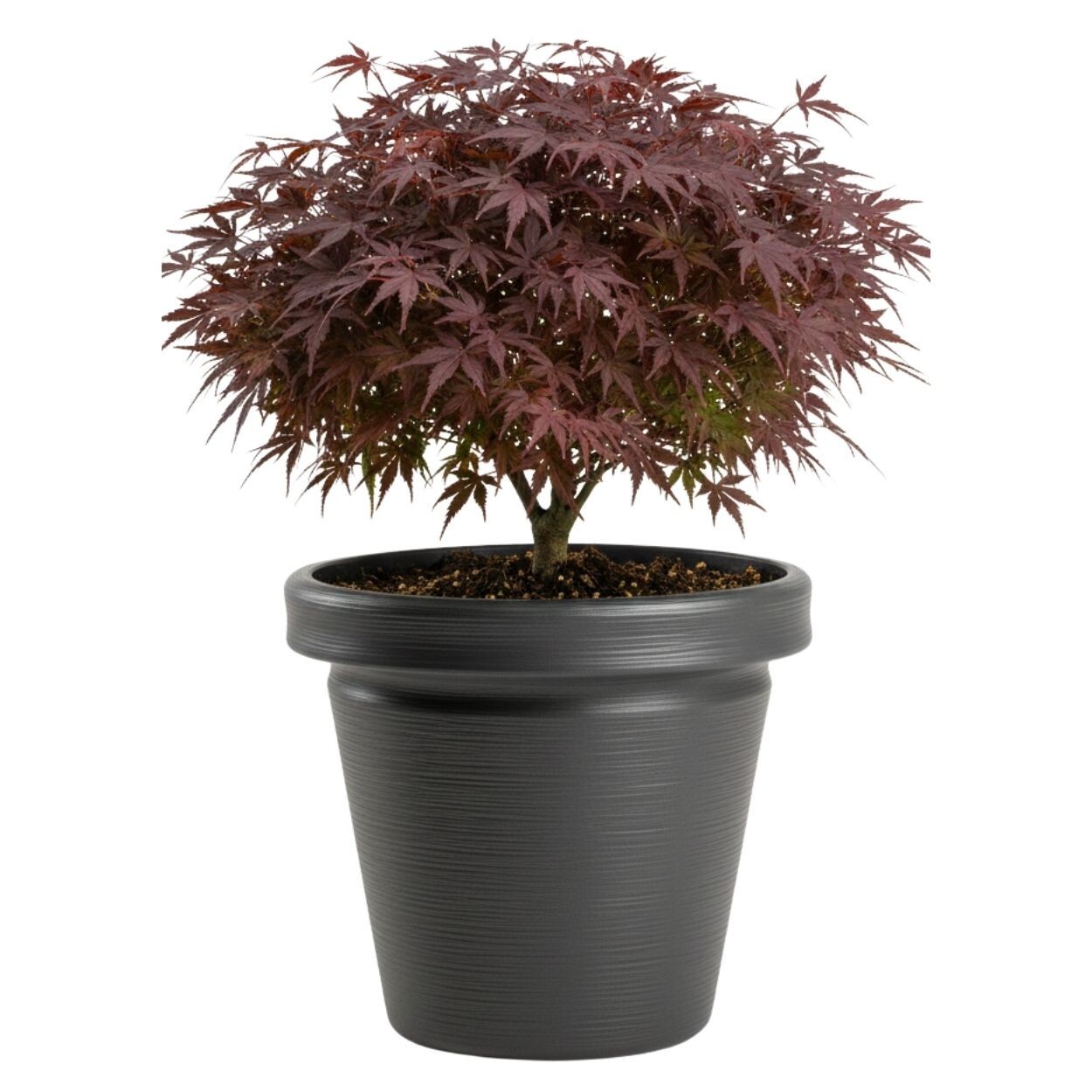 Plastový květináč Riflo 40x46 cm antracitový