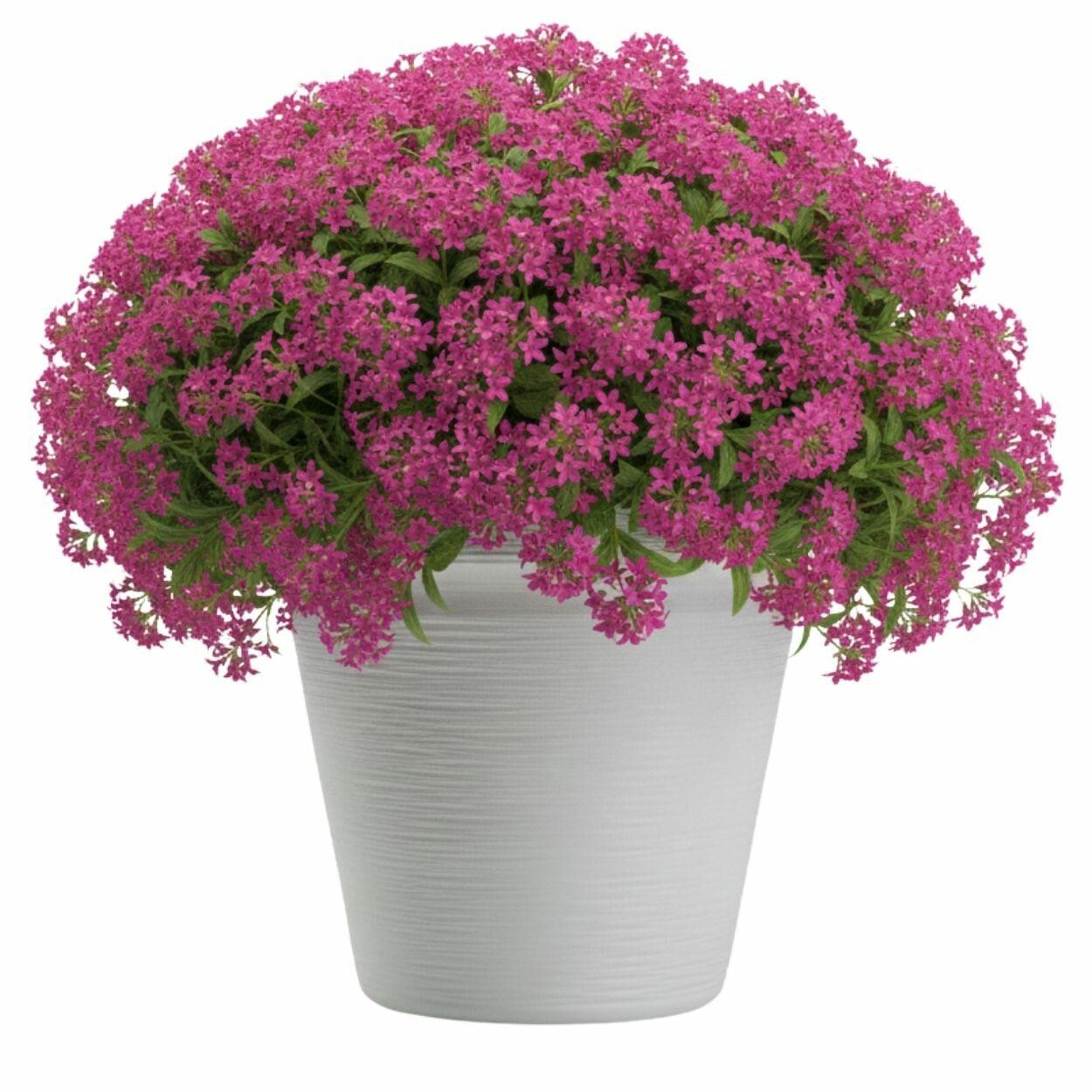 Plastový květináč Riflo 40x46 cm bílý