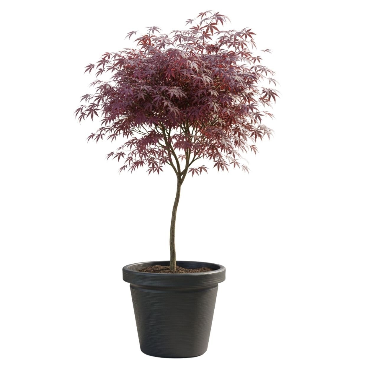 Plastový květináč Riflo 47,9x55 cm antracitový