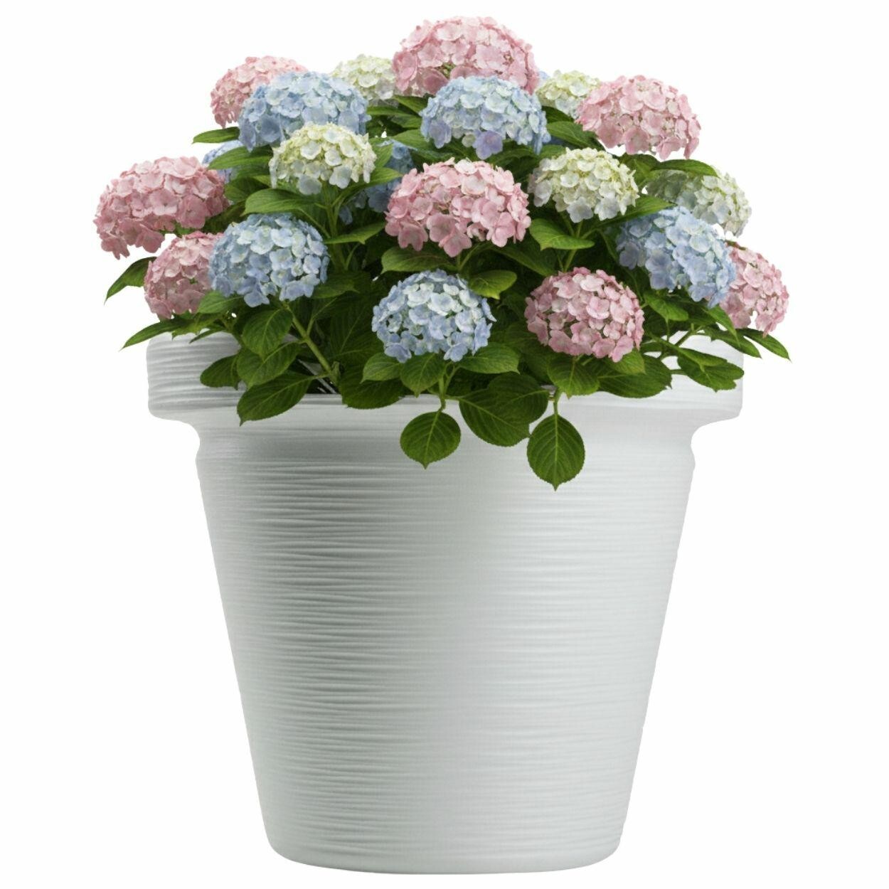 Plastový květináč Riflo 47,9x55 cm bílý
