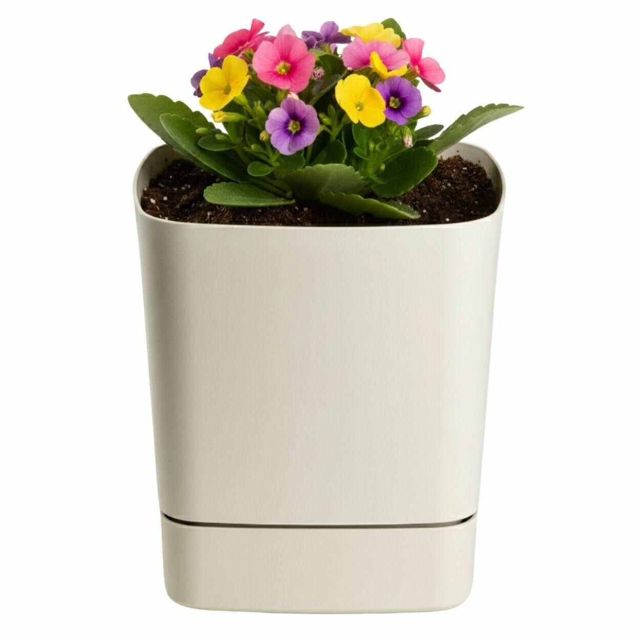 Plastový květináč s podmiskou Cubi 16x16 cm béžový