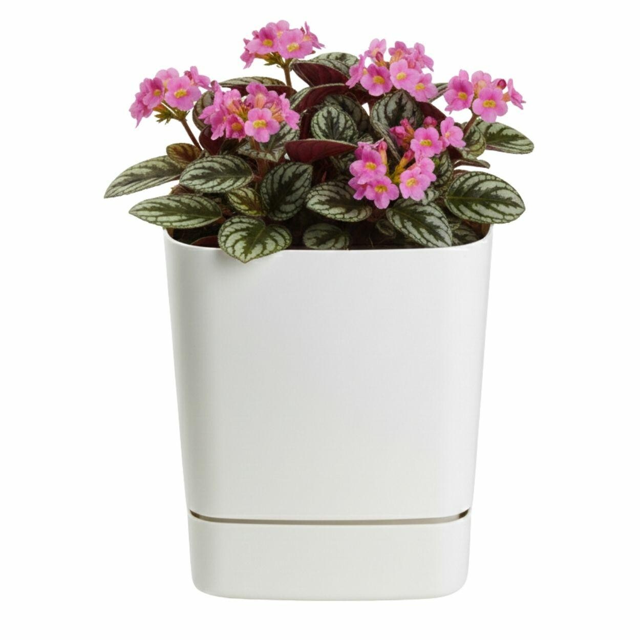 Plastový květináč s podmiskou Cubi 16x16 cm krémový