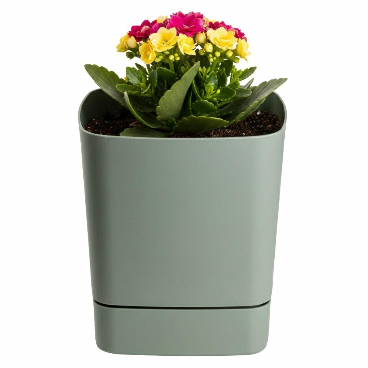 Plastový květináč s podmiskou Cubi 16x16 cm šedo-zelený