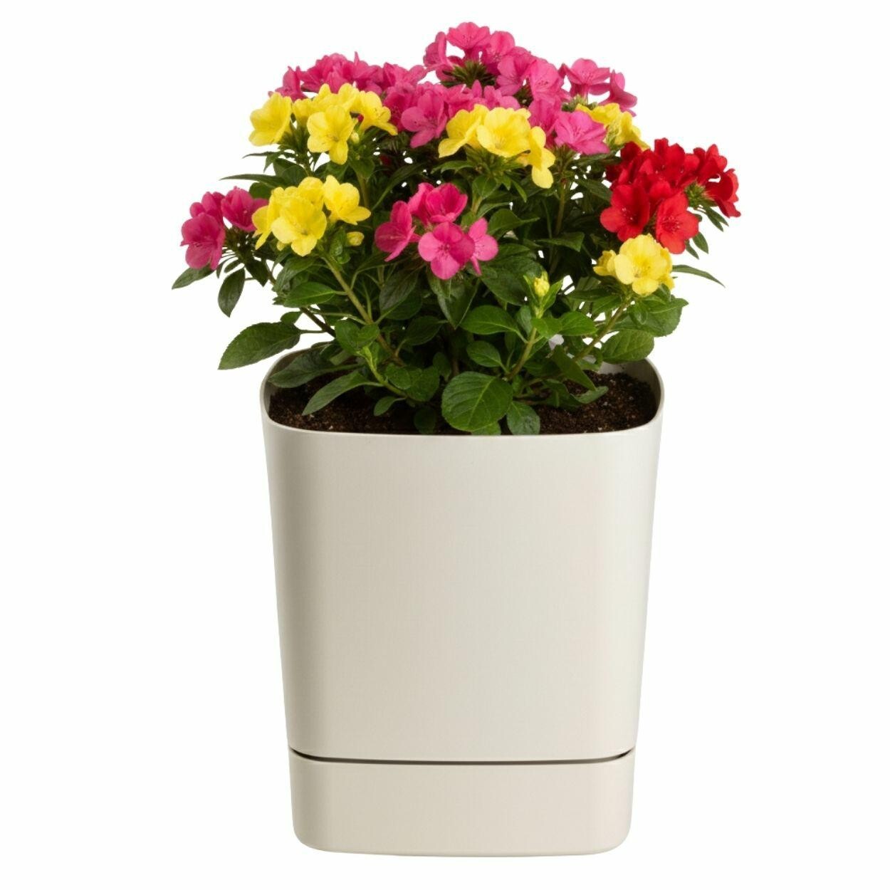 Plastový květináč s podmiskou Cubi 19x19 cm - výber z 6 prevedení