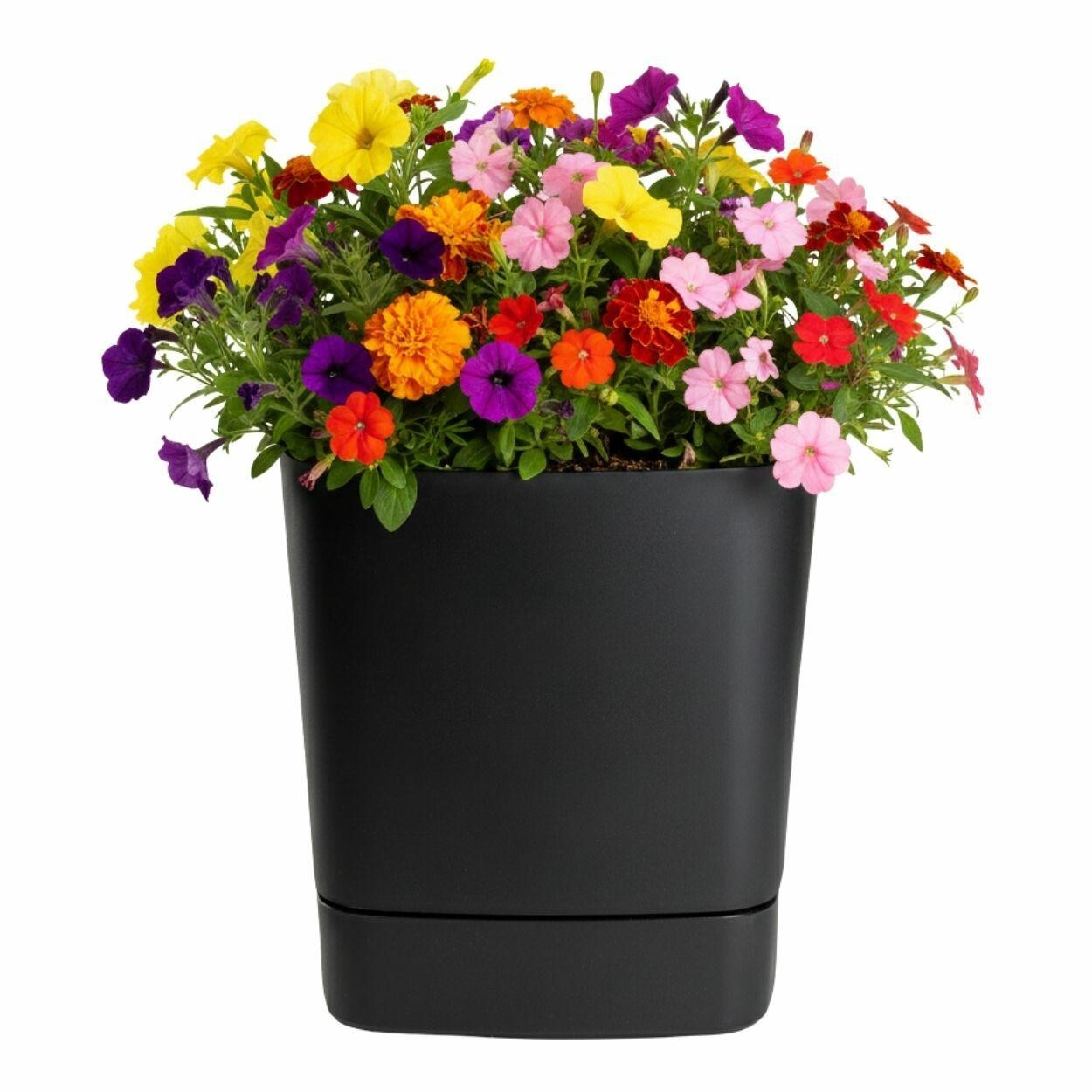Plastový květináč s podmiskou Cubi 25x25 cm - výber z 5 prevedení