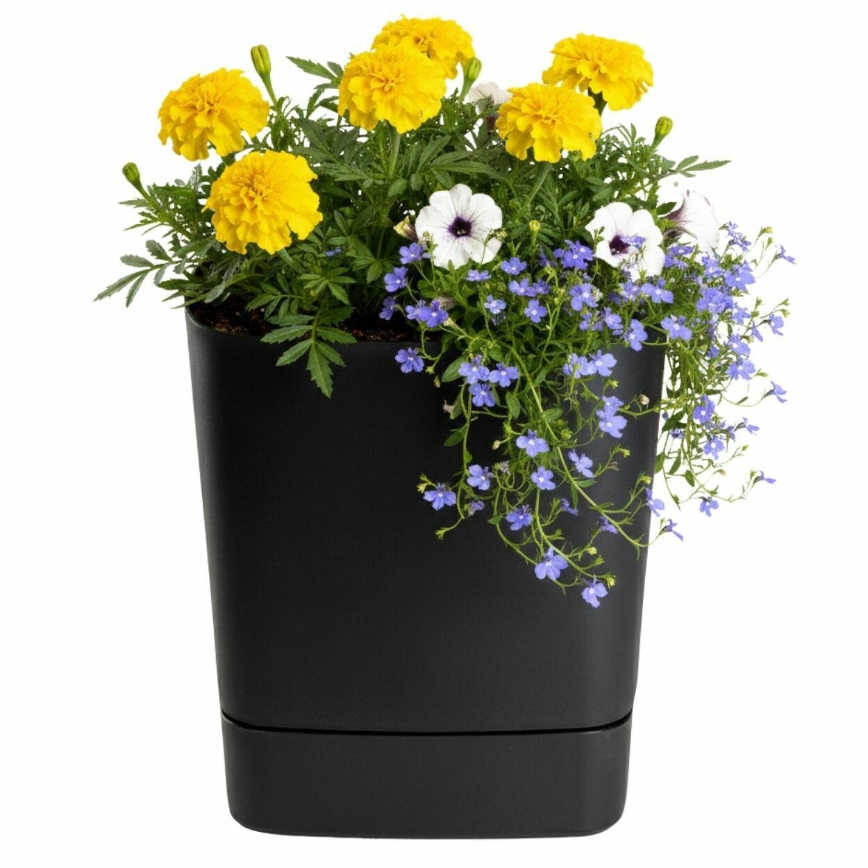Plastový květináč s podmiskou Cubi 30x30 cm černý