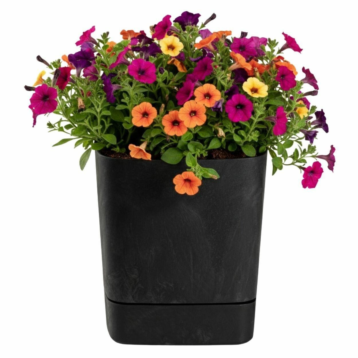 Plastový květináč s podmiskou Cubi 30x30 cm černý beton