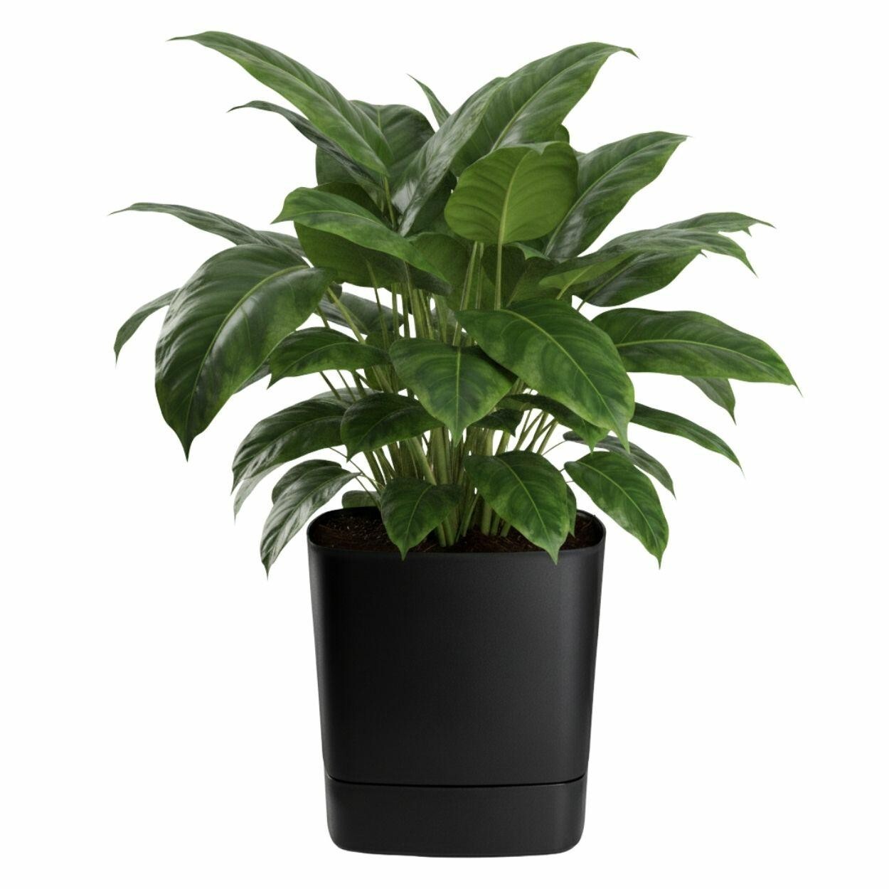 Plastový květináč s podmiskou Cubi 34x34 cm černý