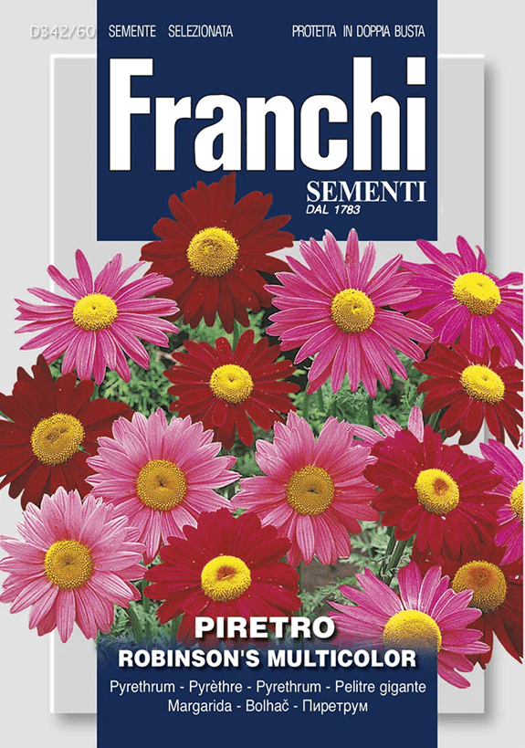 Franchi Chryzantéma ružová ROBINSON'S zmes farieb