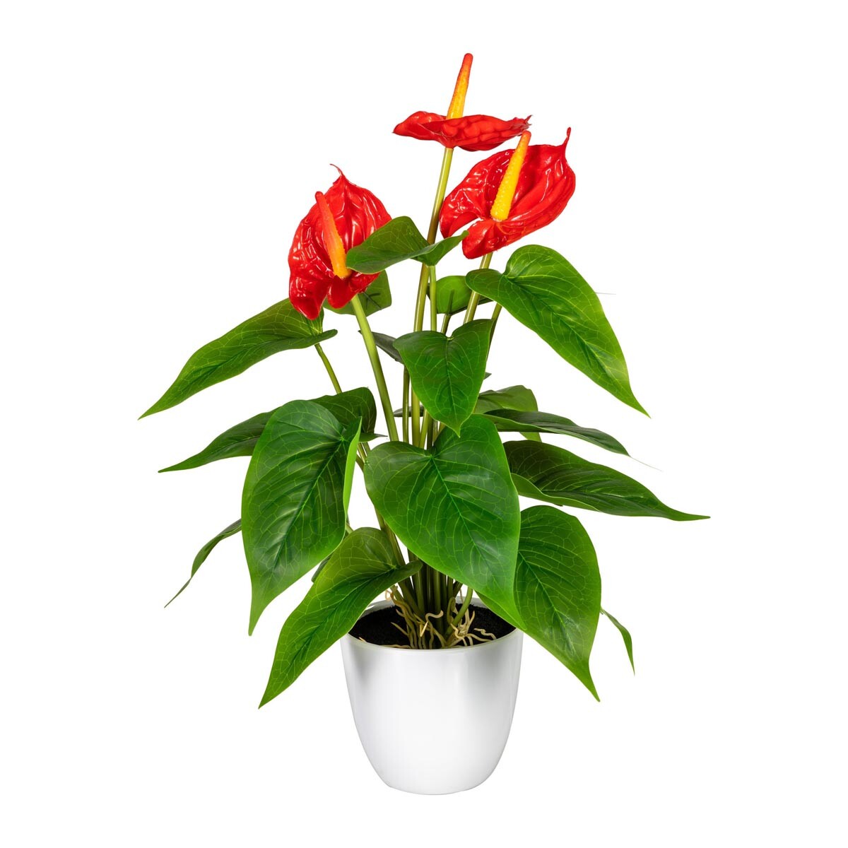 Anthurium x3, 18 listov, asi 40 cm, červené