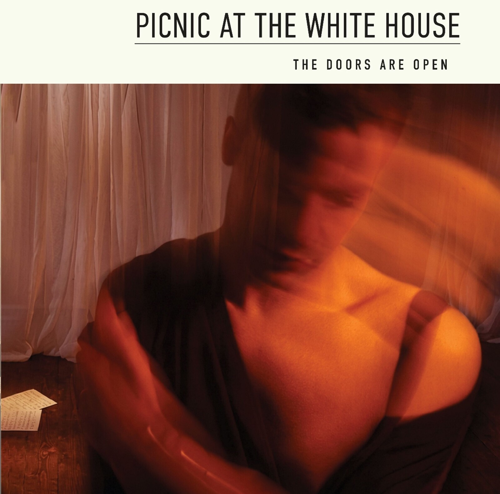 PICNIC AT THE WHITEHOUSE - THE DOORS ARE OPEN, CD