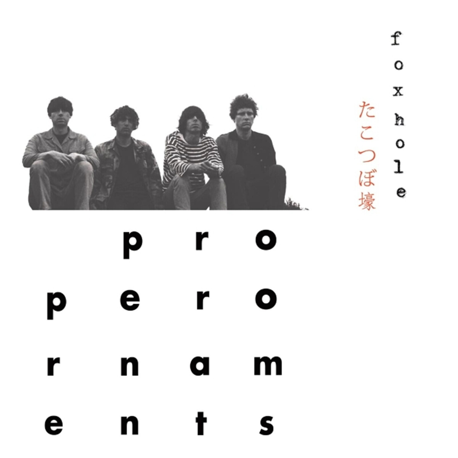 PROPER ORNAMENTS - FOXHOLE, Vinyl