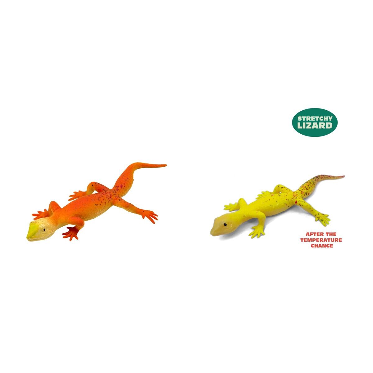 MAGANA Gekon meníci farbu