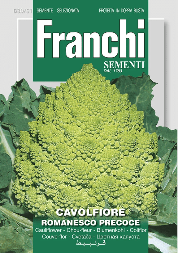 Franchi Karfiol ROMANESCO skorý