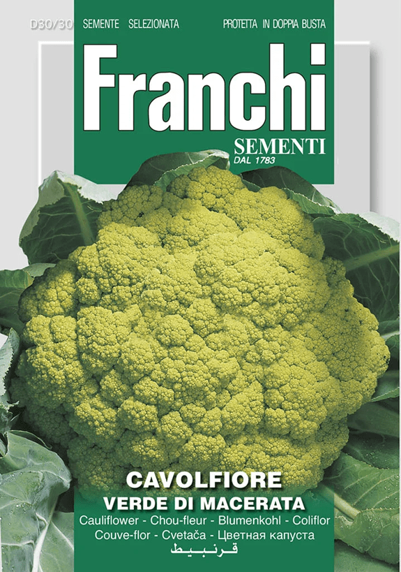 Franchi Karfiol VERDE DI MACERATA
