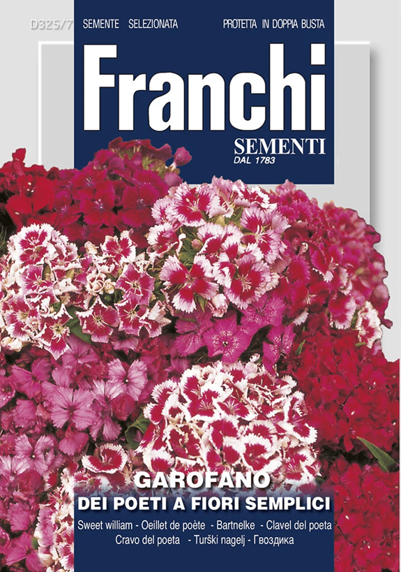 Franchi Klinček bradatý JEDNODUCHÉ KVETY zmes farieb