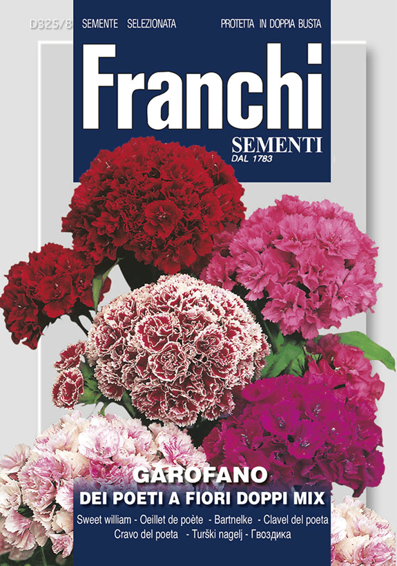 Franchi Klinček bradatý plnokvetý