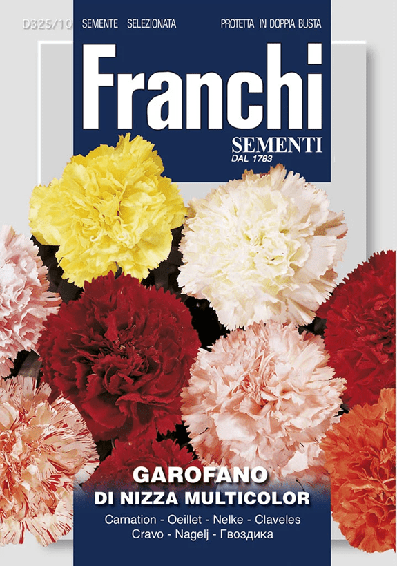 Franchi Klinček karafiát viacfarebný