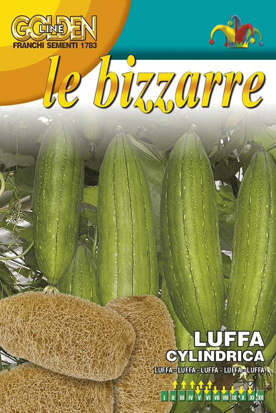 Franchi Luffa