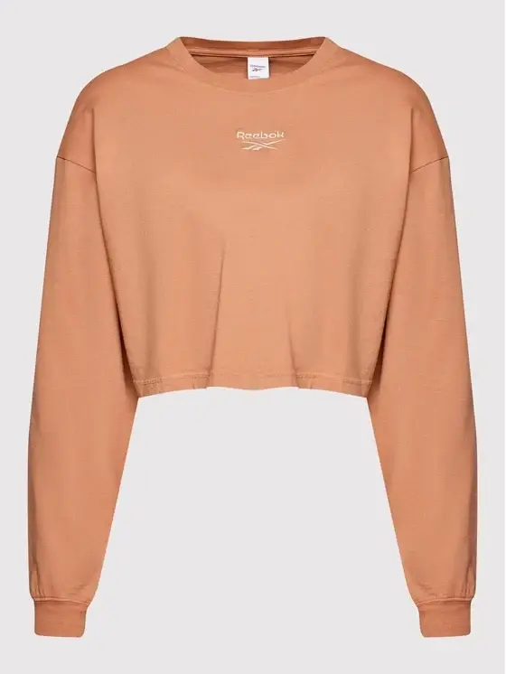 Reebok - Pánske dlhý rukáv CL WDE