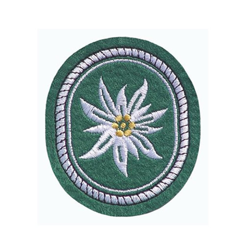 Nášivka Bundeswehr Alpská pleseň - farebná