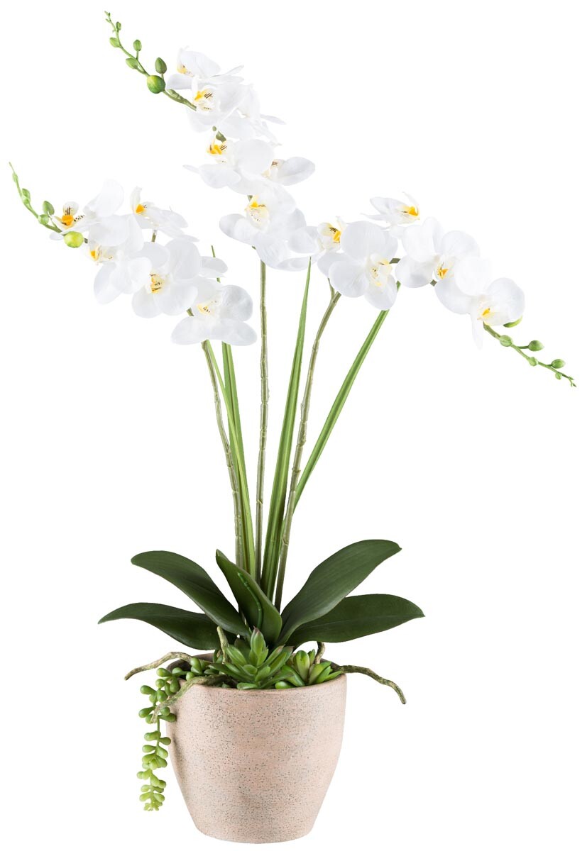 Umelá orchidea 55 cm, biela