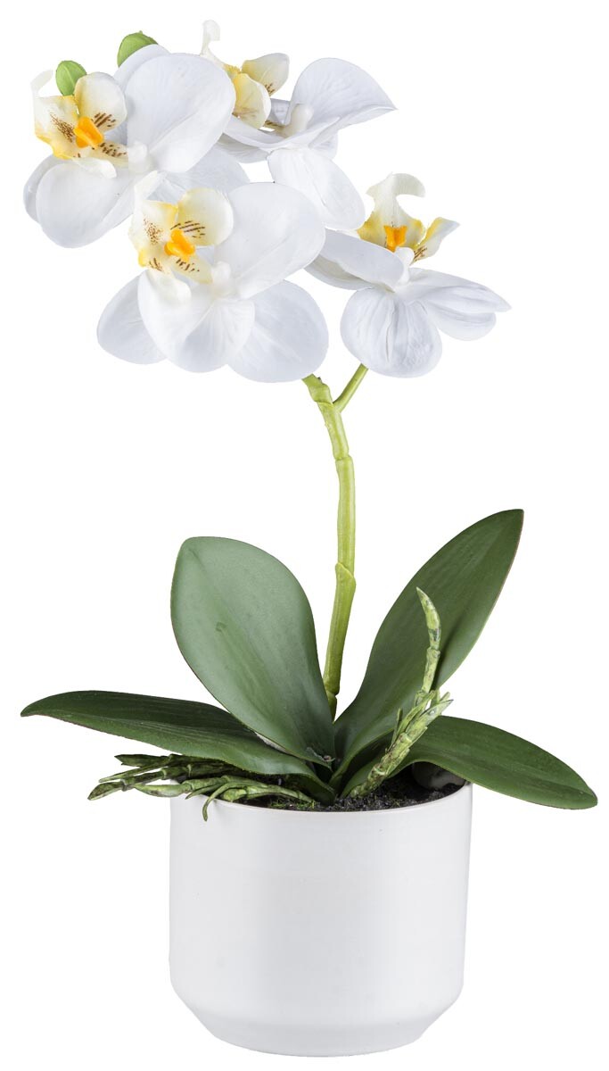 Umelá orchidea v kvetináči, 27 cm, biela