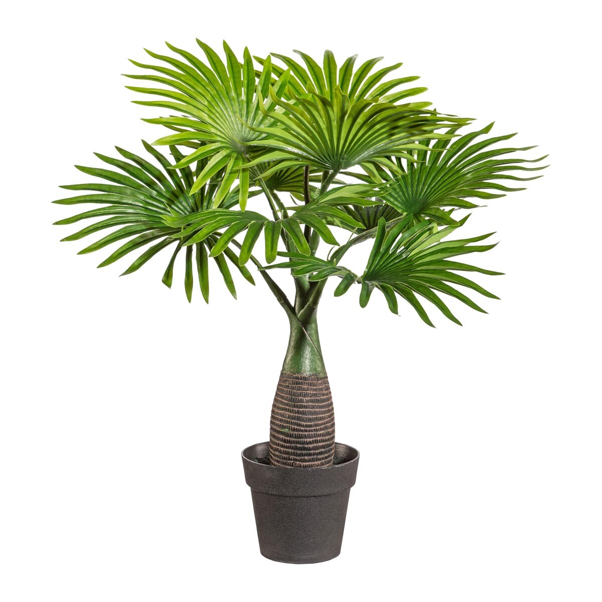 Mini palma s vejárom, približne 45 cm, zelená