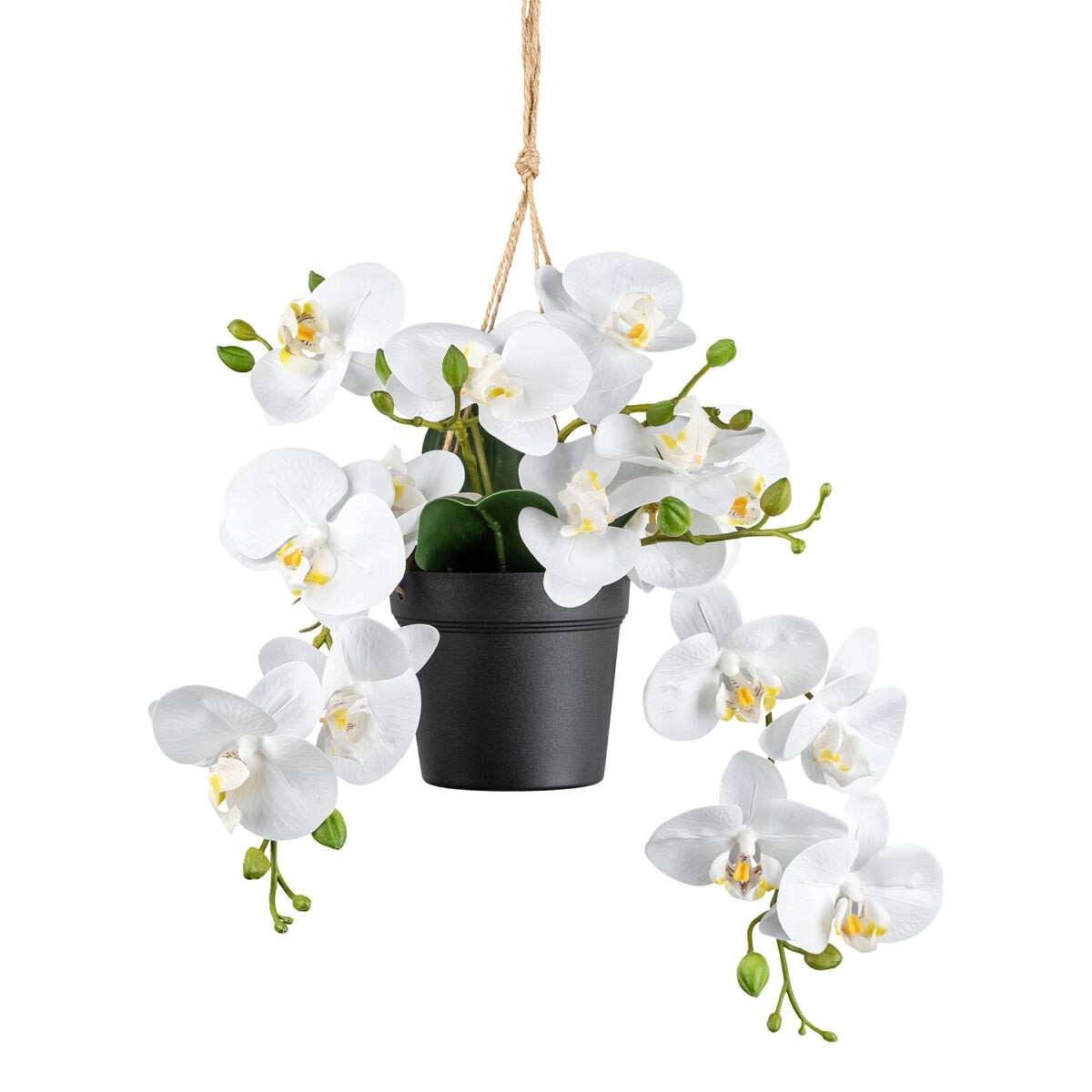Orchidea v závesnom kvetináči, 25 cm, biela