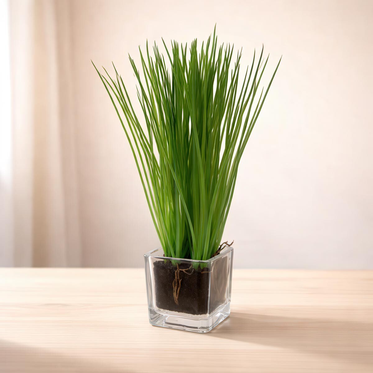 Dekoratívna tráva v skle