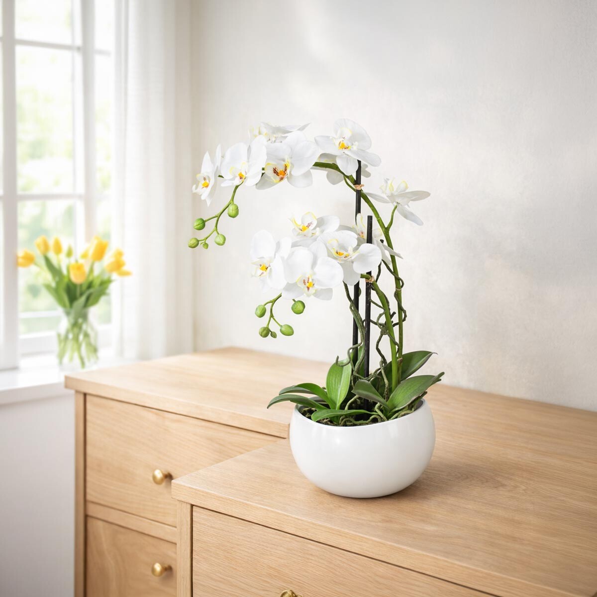 Umelá orchidea Phalaenopsis, biela, 55 cm