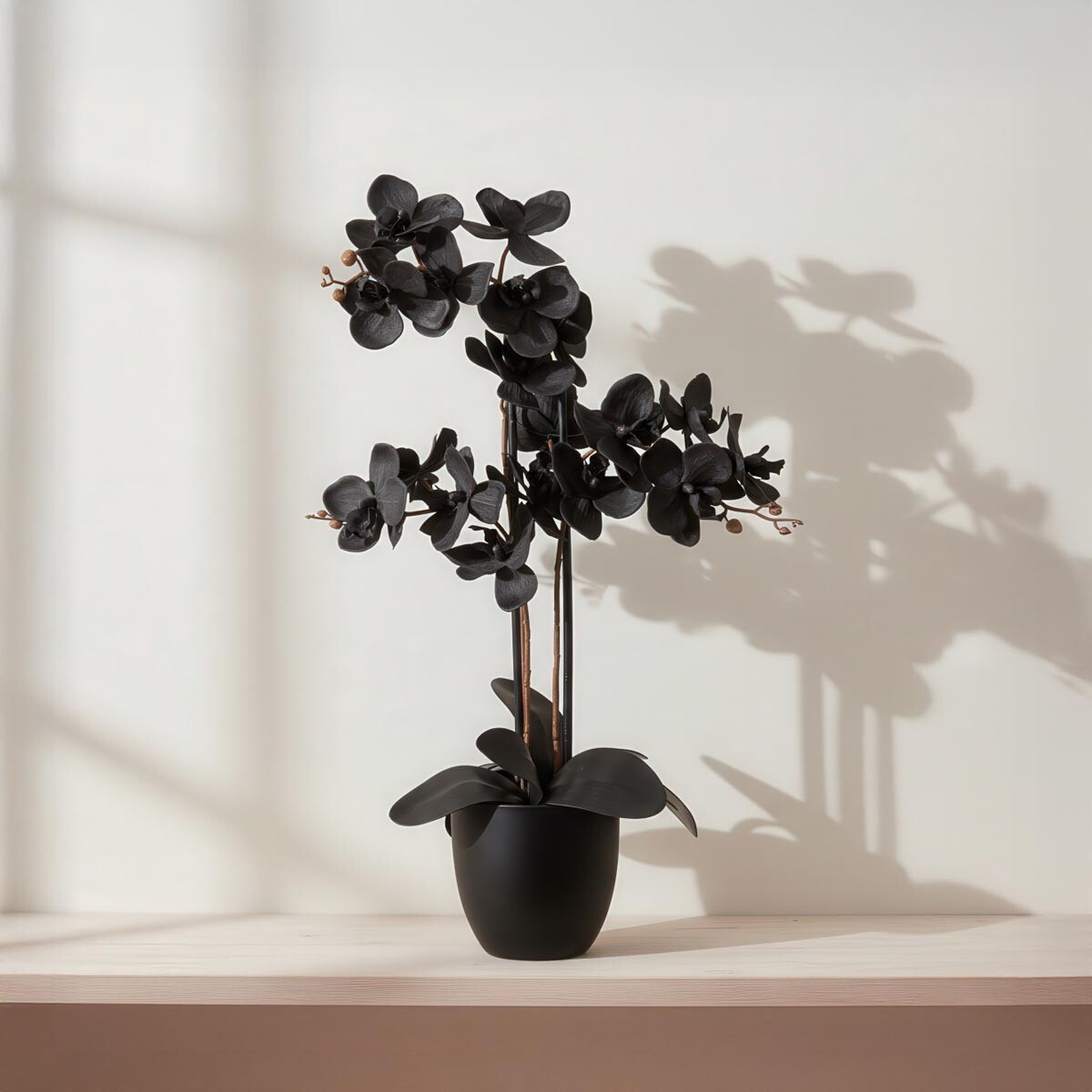 Umelá orchidea Phalaenopsis, čierna