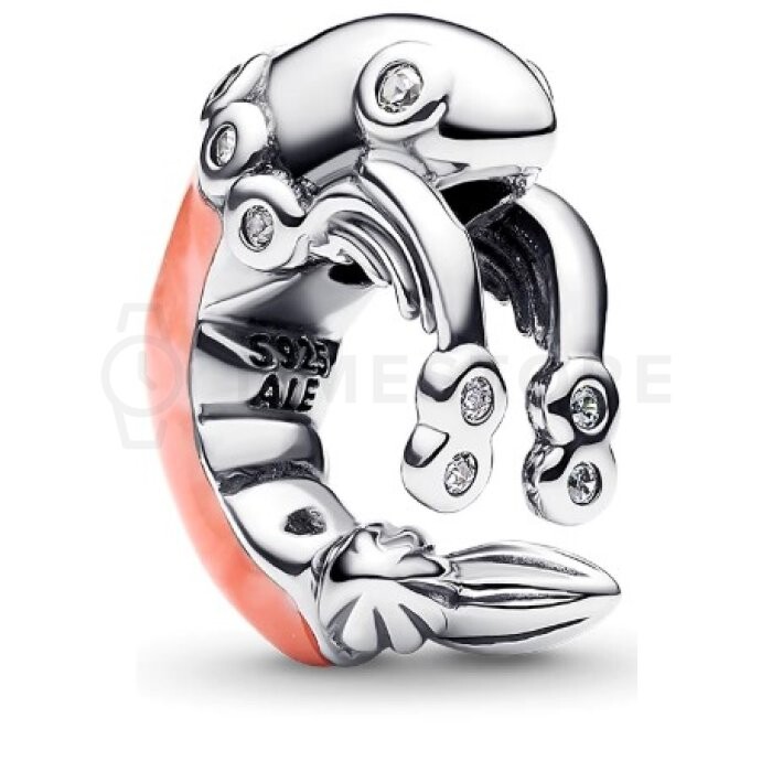 Pandora Moments 793896C01