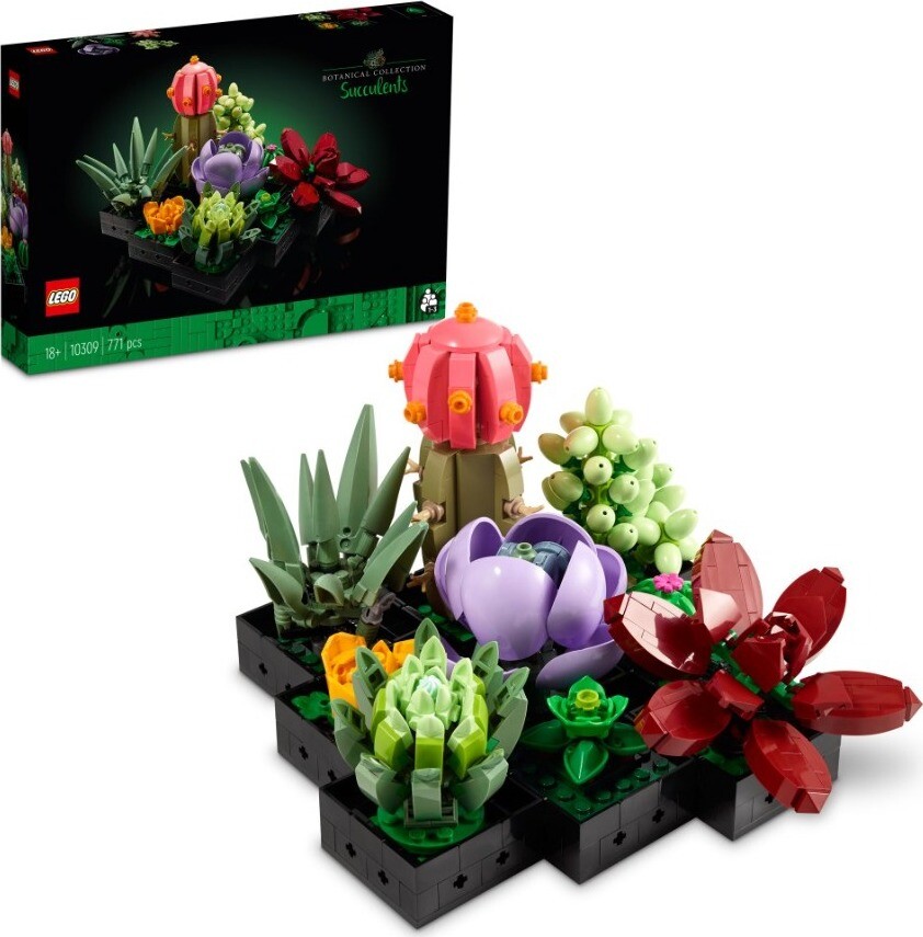 LEGO® Botanicals 10309 Sukulenty