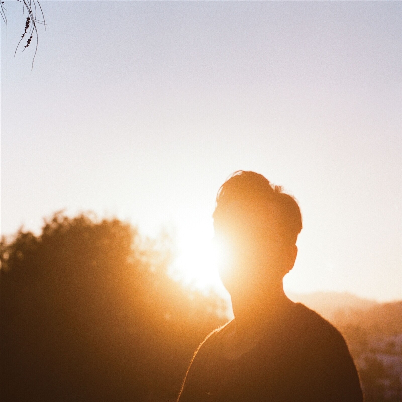 IN THE LAST HOUR OF LIGHT