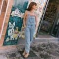 Módne overaly Favorite People  Denim Overalls - Denim