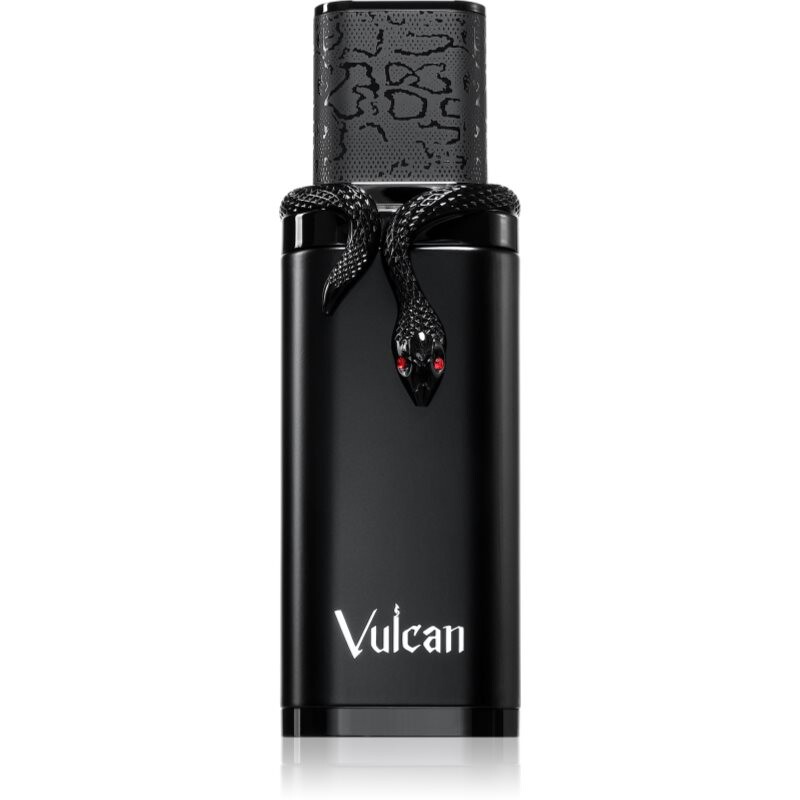 French Avenue Vulcan Black Friday parfumovaná voda pre mužov 100 ml