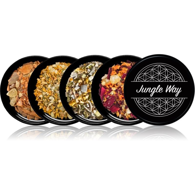 Jungle Way Discovery set Elevate Your Routine vydymovadlá
