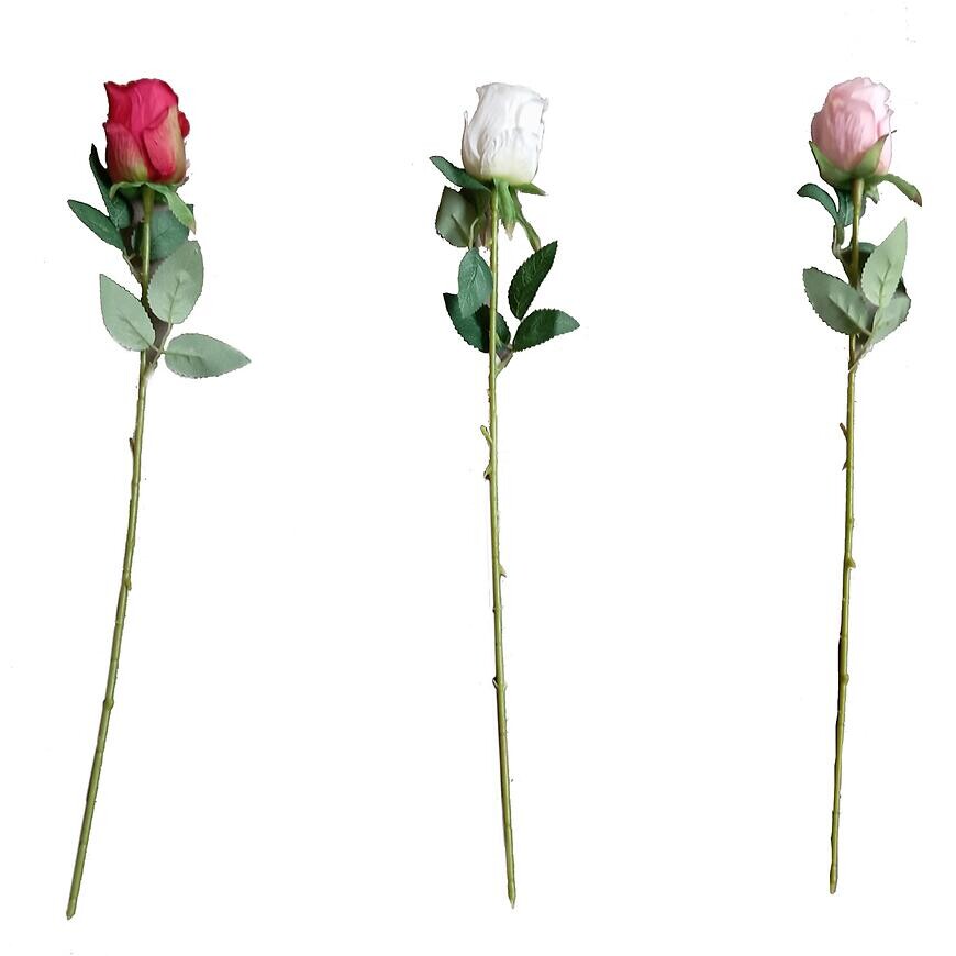 Ruža priemer 4 cm 50 cm mix 443496